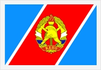 Флаг ВДПО