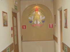 Омское областное отделение ВДПО