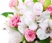 ������������ � ���� �������� ������������ ������ ���� �������������� ���� ��������� �.�.