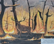 ���� ������� ����� ����������� ����� 600 ����� �� �������� ����������� ������