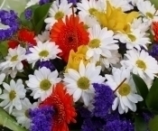 ������������ � ���� �������� ������������ ������ ������������� �������� ��������� ���� ��������� �.�.