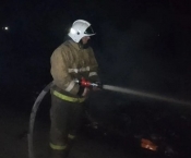 ��������-����������� � ��������. ����������� ������������ ������������ �������� ������� ��������