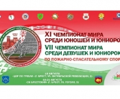  XI        VII        - 