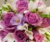 ������������ � ���� ��������  ������������ ������ ���������� ������������� ��������� ���� �������� �.�.